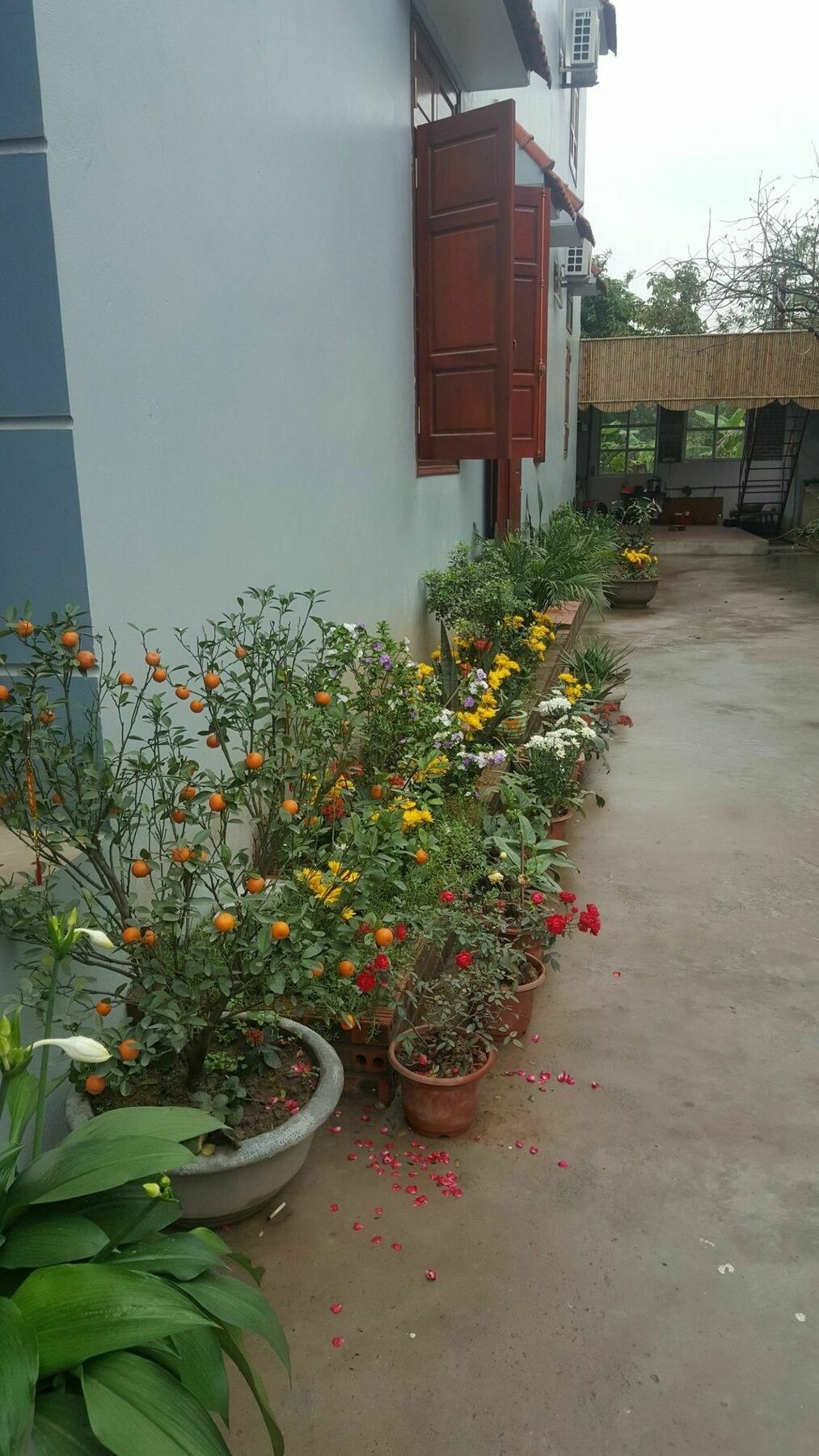 Tam Coc Tuan Minh Homestay 닌빈 외부 사진
